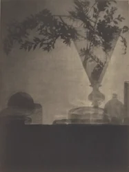 Glas und Schatten